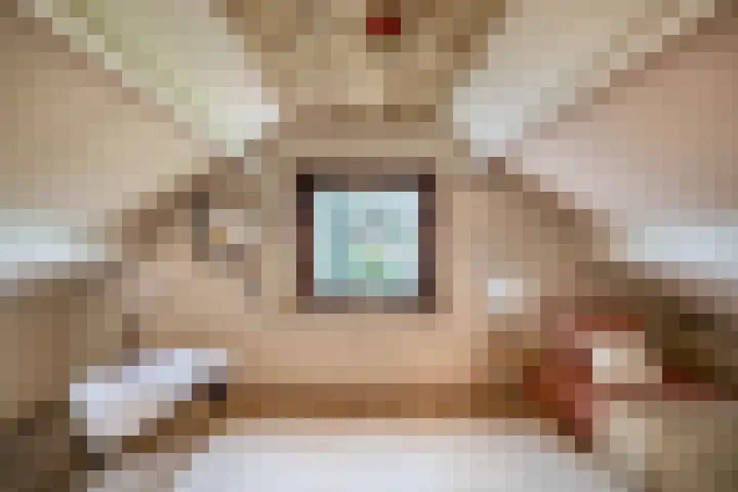 Lieve Vrouwepoldersedijk 33 Stad aan 't Haringvliet thumbnail 19
