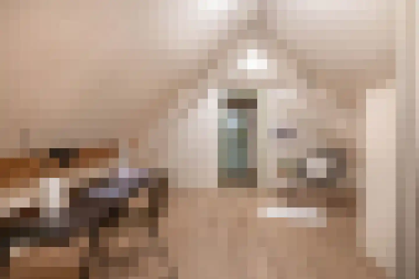 Lieve Vrouwepoldersedijk 33 Stad aan 't Haringvliet thumbnail 20