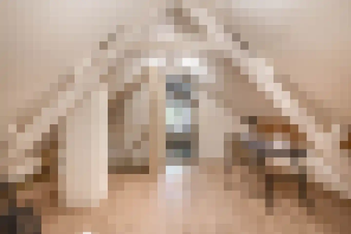 Lieve Vrouwepoldersedijk 33 Stad aan 't Haringvliet thumbnail 21