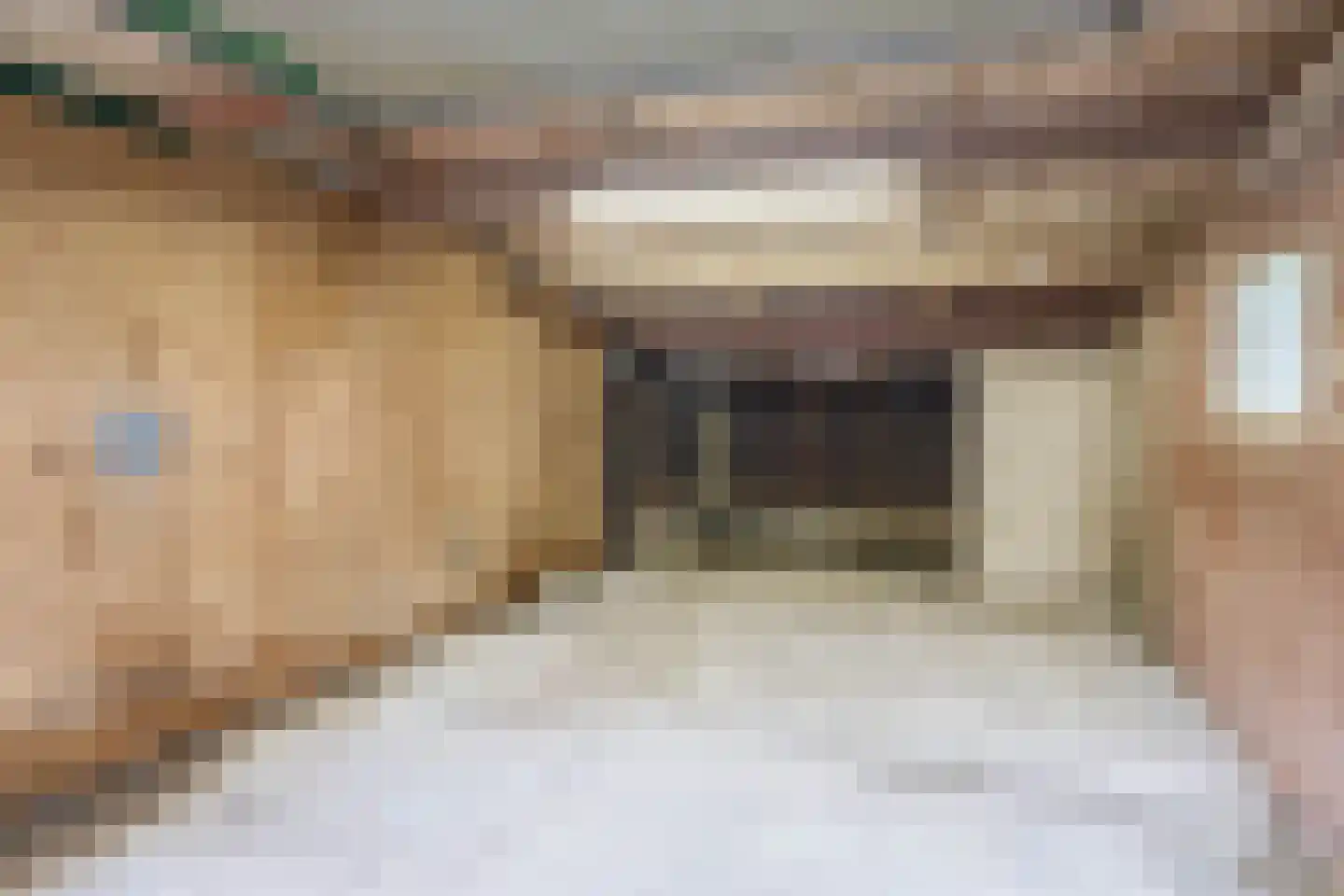 Lieve Vrouwepoldersedijk 33 Stad aan 't Haringvliet thumbnail 23