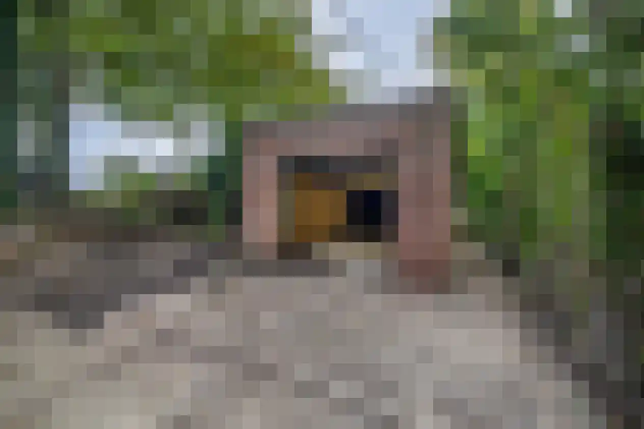 Lieve Vrouwepoldersedijk 33 Stad aan 't Haringvliet thumbnail 24