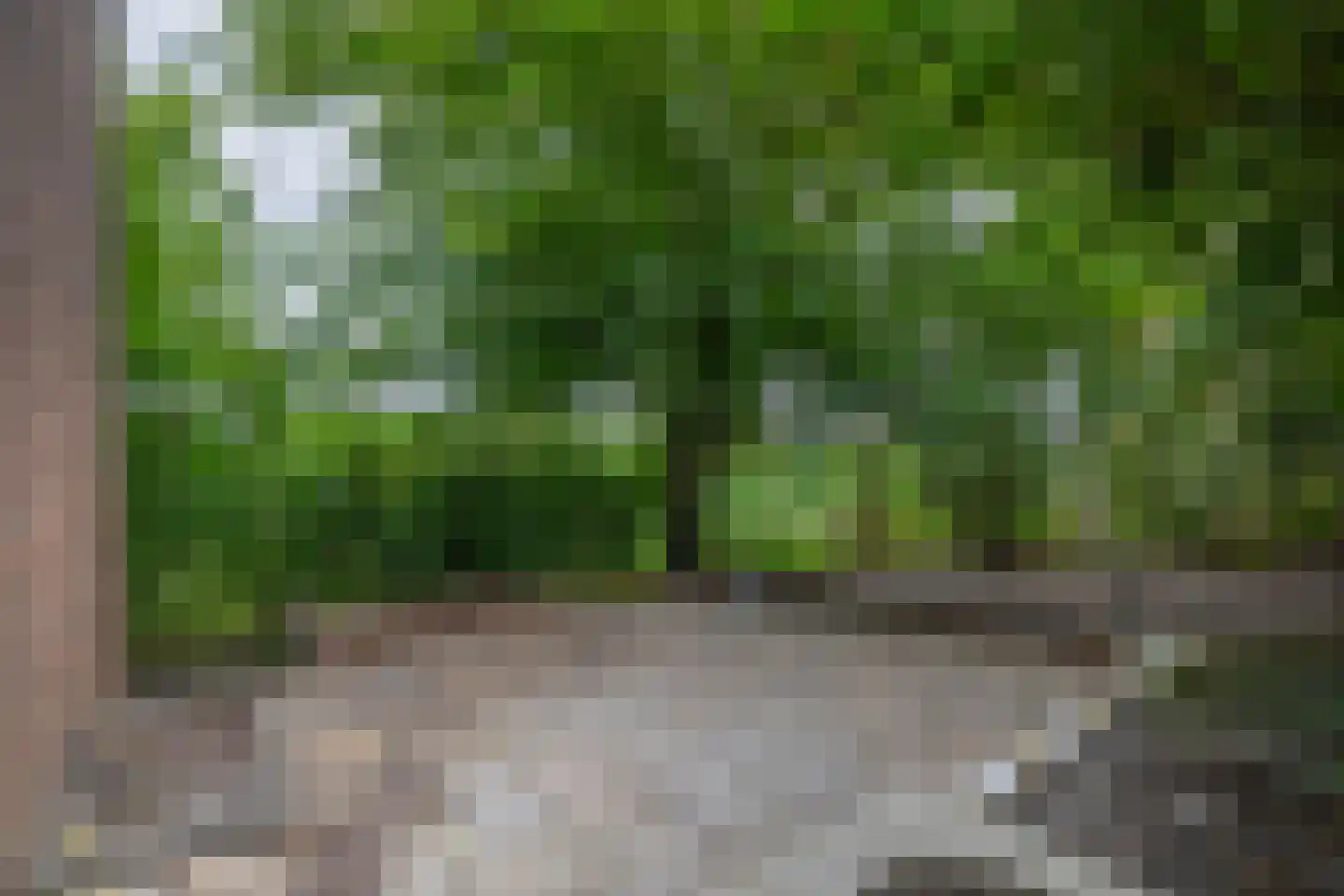 Lieve Vrouwepoldersedijk 33 Stad aan 't Haringvliet thumbnail 25