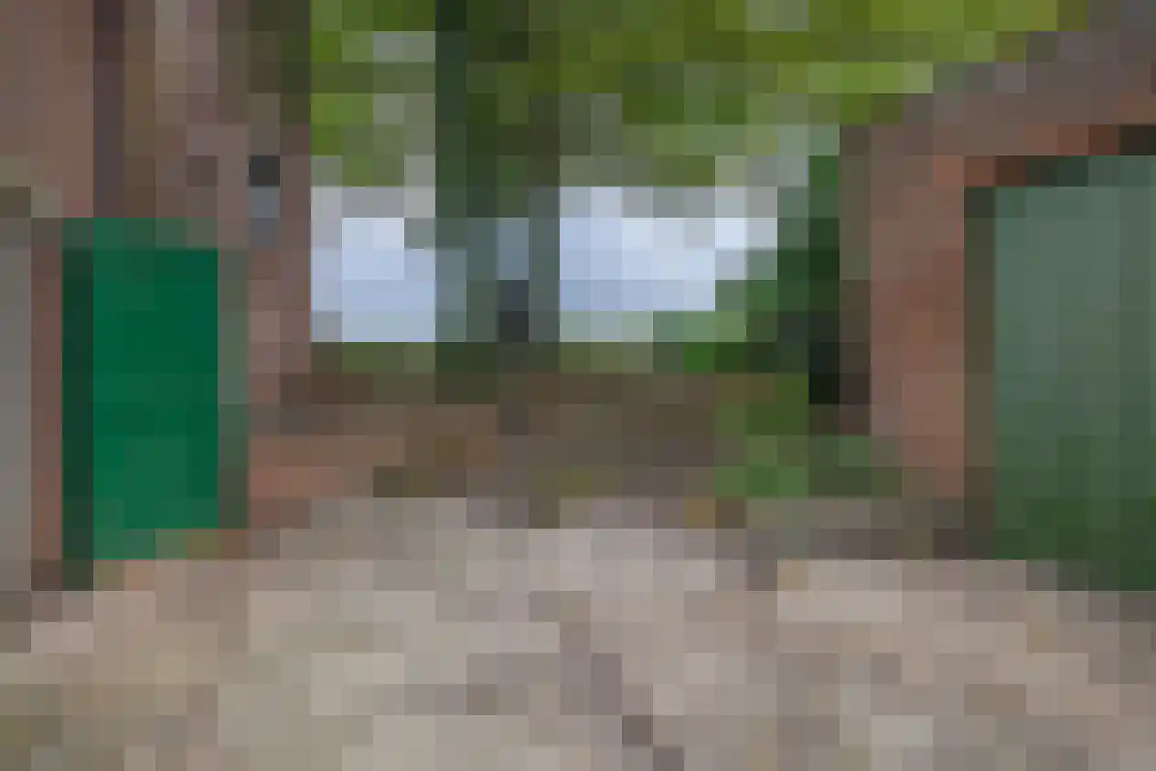 Lieve Vrouwepoldersedijk 33 Stad aan 't Haringvliet thumbnail 26