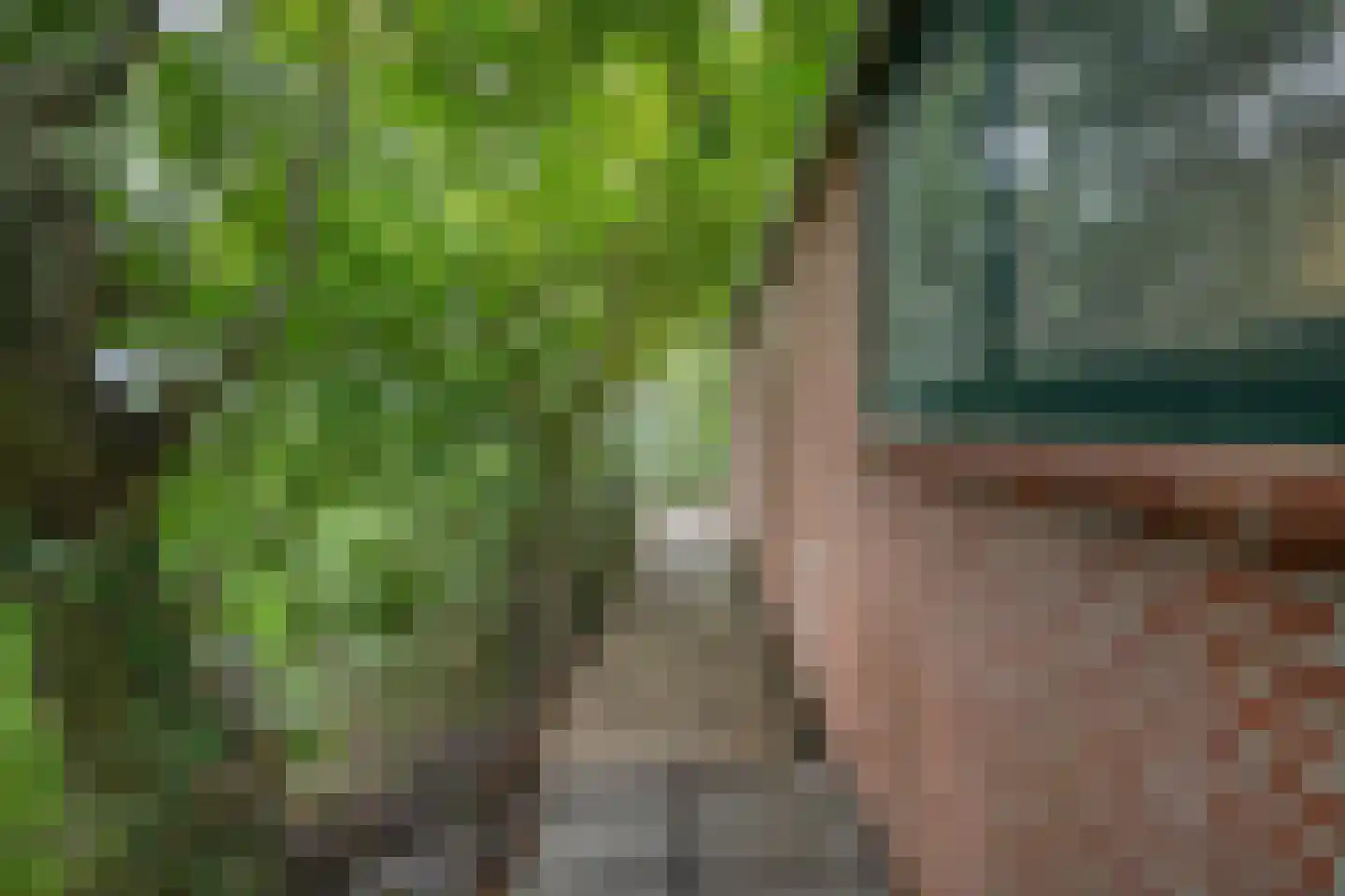 Lieve Vrouwepoldersedijk 33 Stad aan 't Haringvliet thumbnail 27