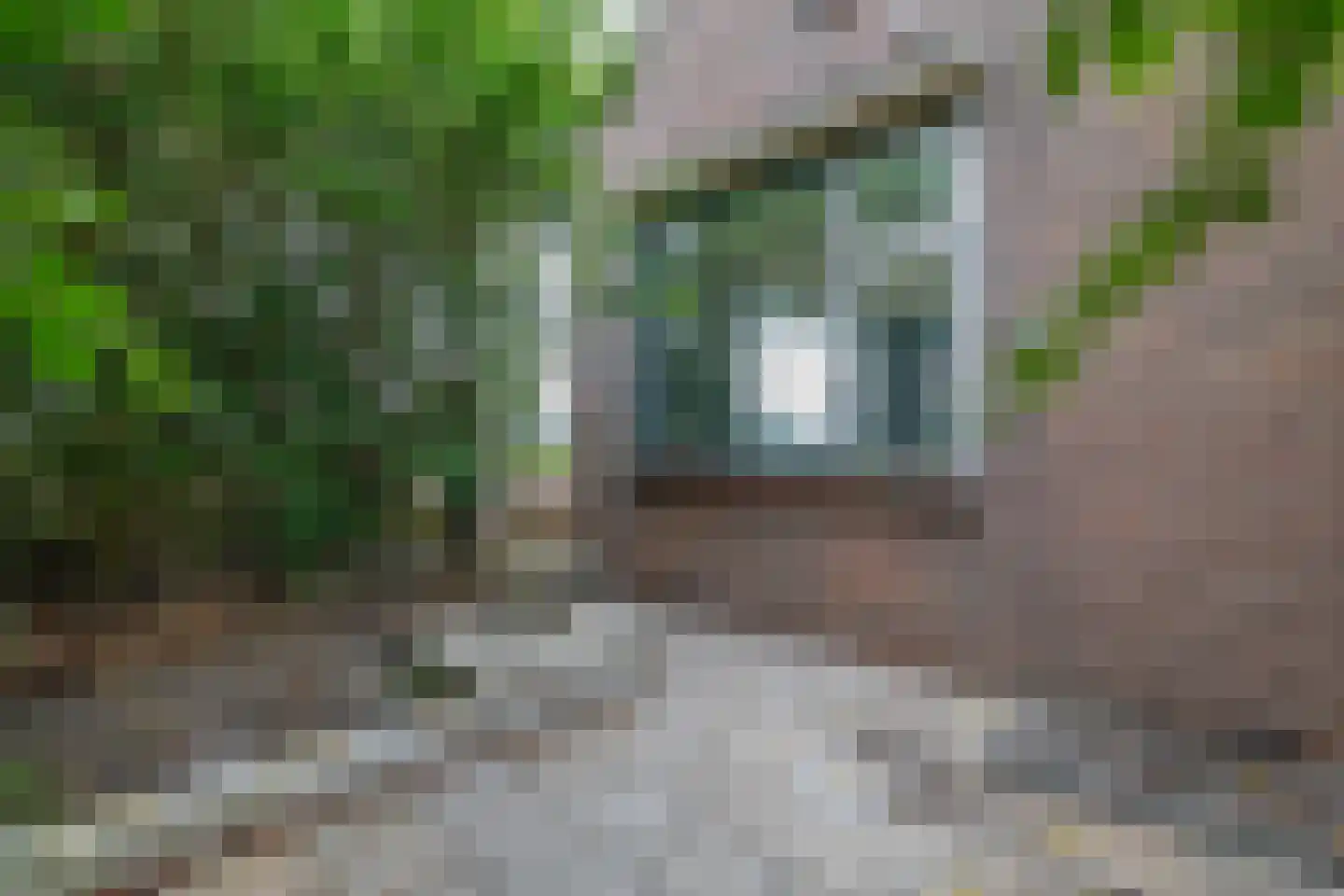 Lieve Vrouwepoldersedijk 33 Stad aan 't Haringvliet thumbnail 28