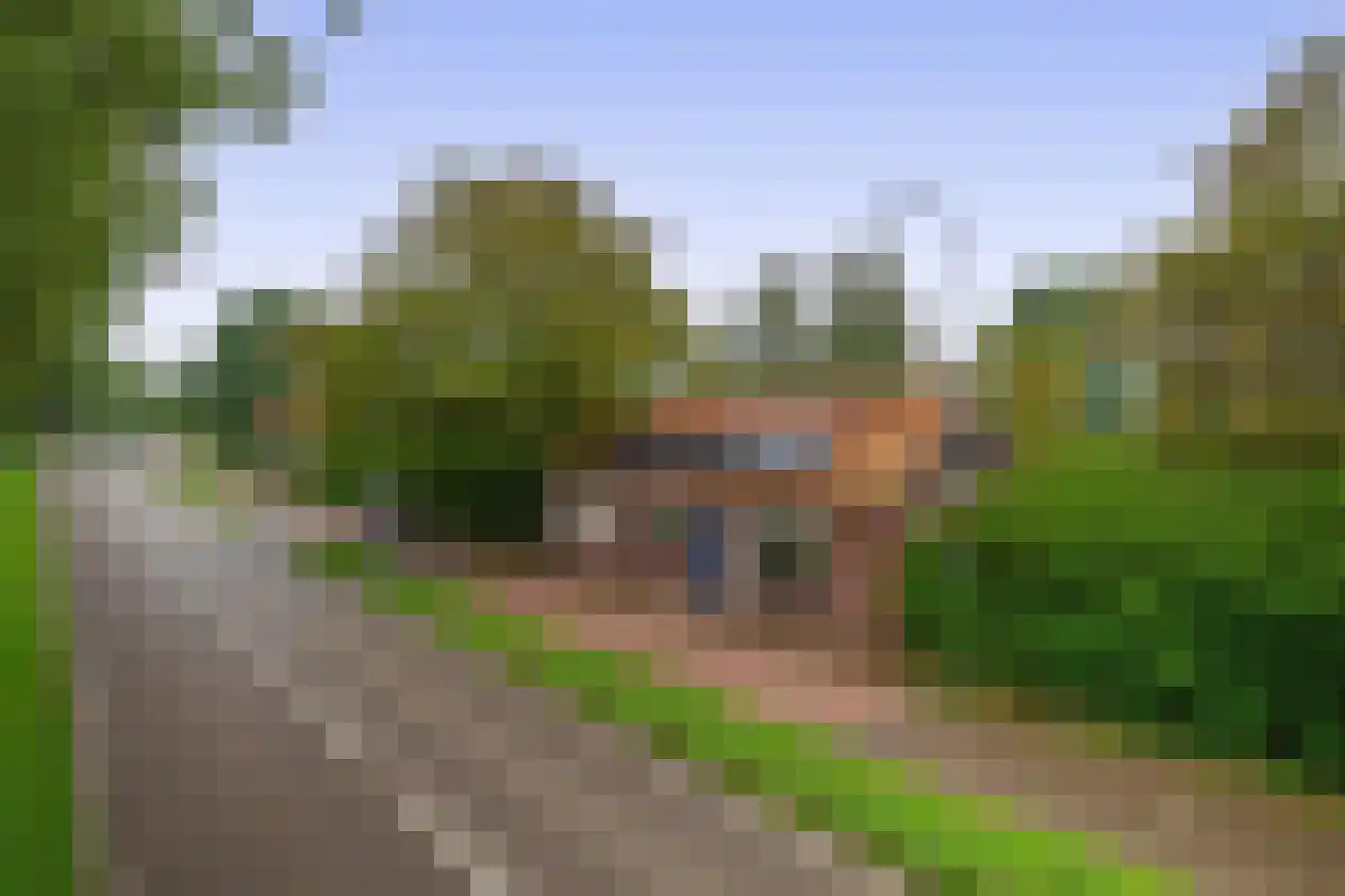 Lieve Vrouwepoldersedijk 33 Stad aan 't Haringvliet foto 3