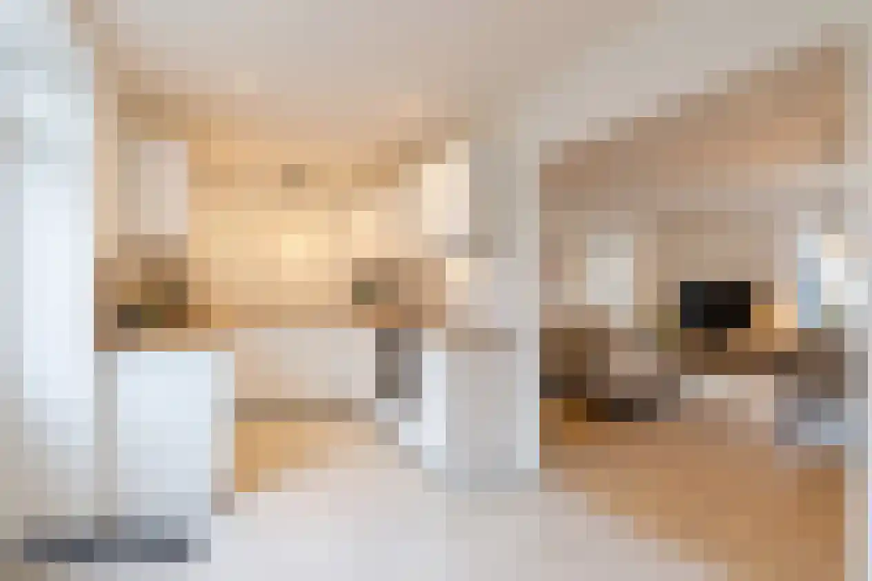 Lieve Vrouwepoldersedijk 33 Stad aan 't Haringvliet thumbnail 31