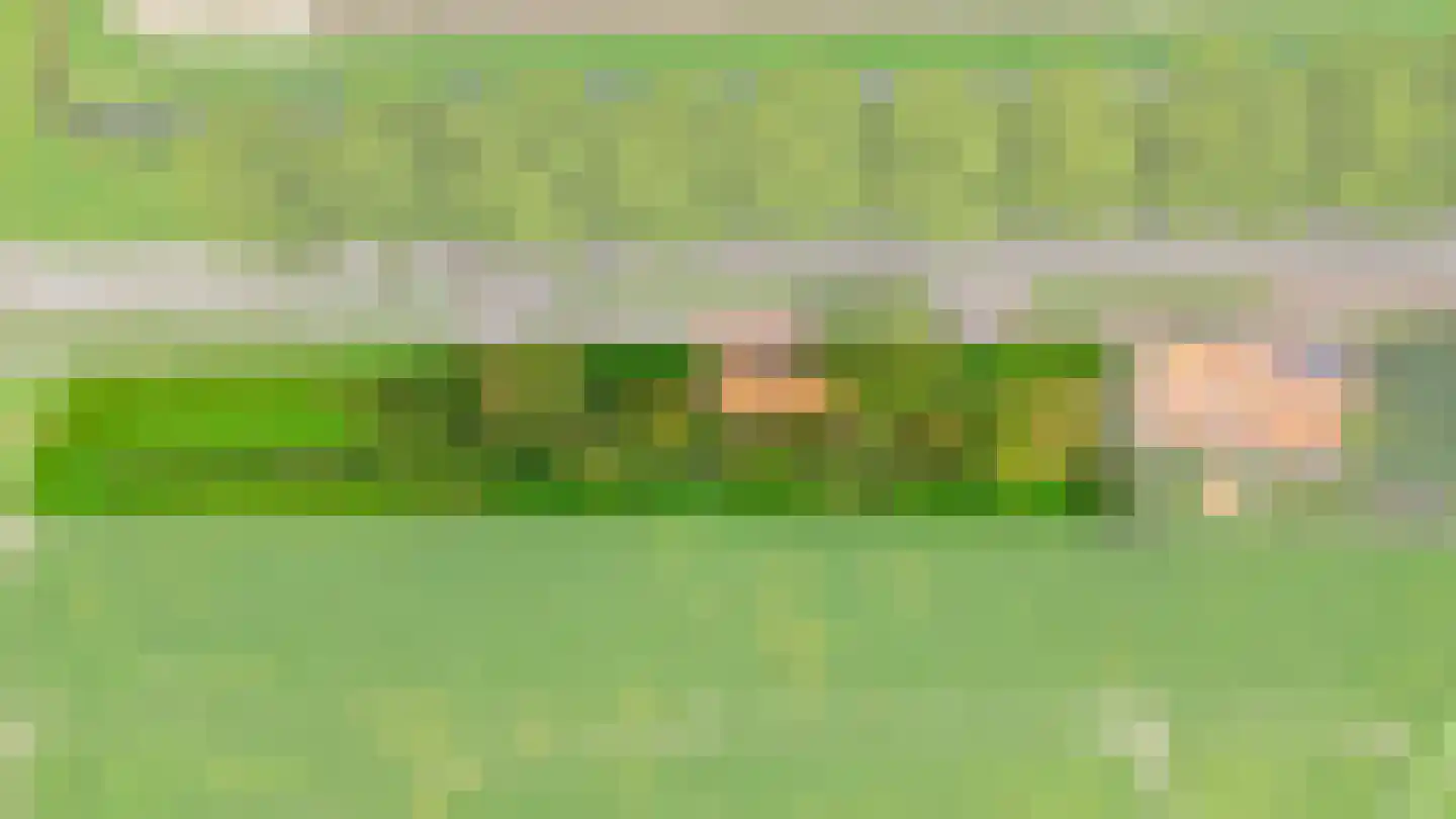 Lieve Vrouwepoldersedijk 33 Stad aan 't Haringvliet thumbnail 34