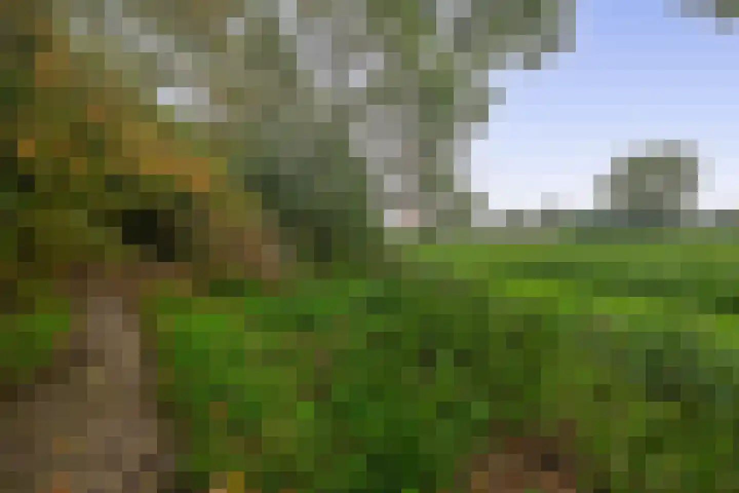 Lieve Vrouwepoldersedijk 33 Stad aan 't Haringvliet thumbnail 35