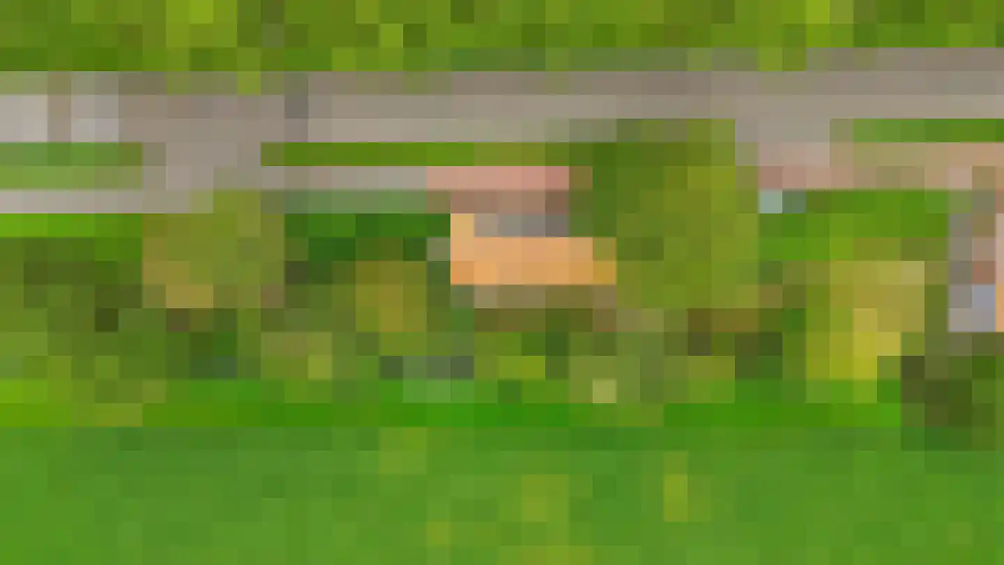 Lieve Vrouwepoldersedijk 33 Stad aan 't Haringvliet thumbnail 36