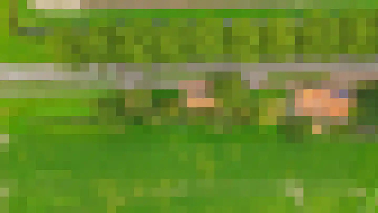 Lieve Vrouwepoldersedijk 33 Stad aan 't Haringvliet thumbnail 37
