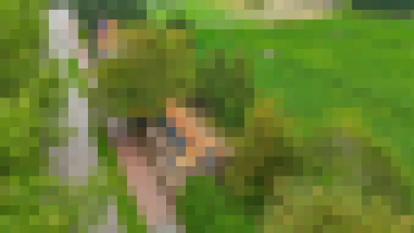 Lieve Vrouwepoldersedijk 33 Stad aan 't Haringvliet thumbnail 38
