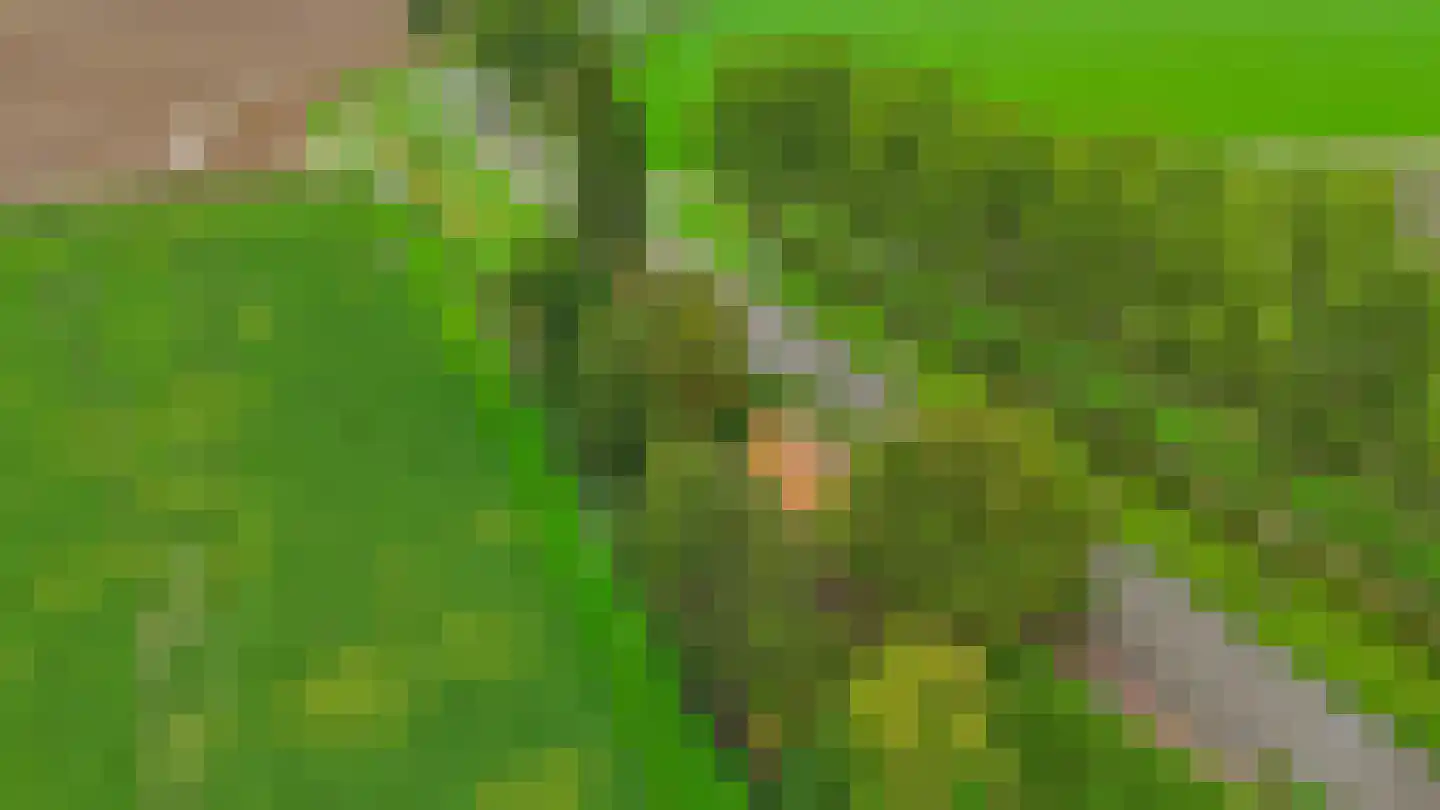Lieve Vrouwepoldersedijk 33 Stad aan 't Haringvliet thumbnail 39