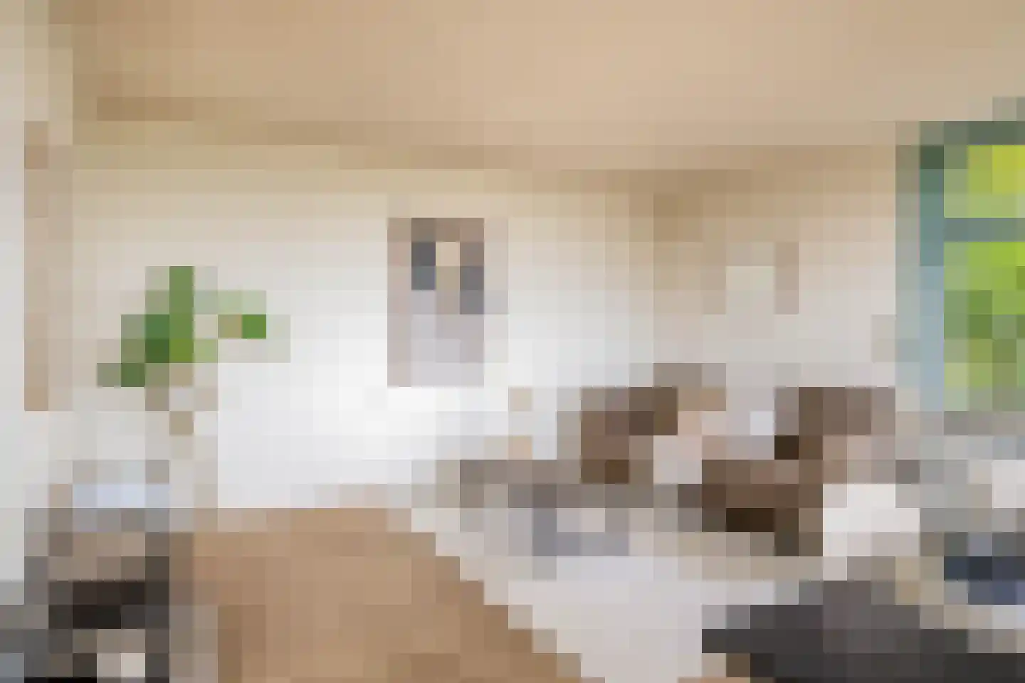 Lieve Vrouwepoldersedijk 33 Stad aan 't Haringvliet thumbnail 7