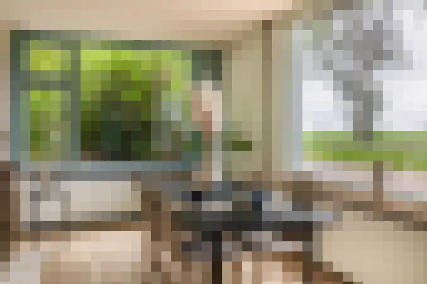 Lieve Vrouwepoldersedijk 33 Stad aan 't Haringvliet thumbnail 9