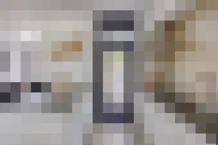 Lieve Vrouwestraat 12 Geleen thumbnail 12