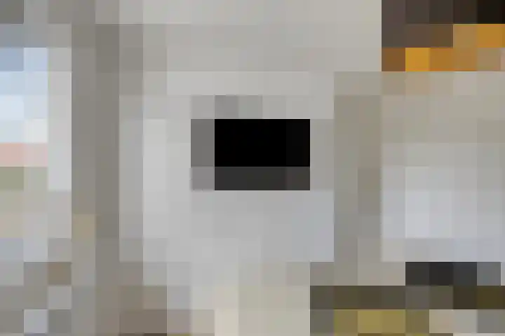 Lieve Vrouwestraat 12 Geleen thumbnail 17