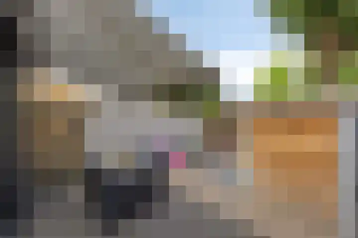 Lieve Vrouwestraat 12 Geleen thumbnail 24