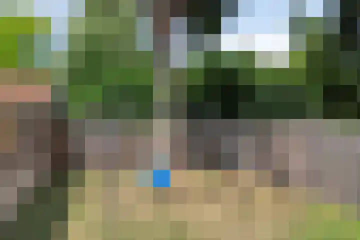 Lieve Vrouwestraat 12 Geleen thumbnail 26