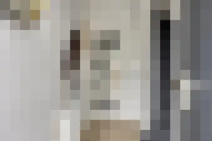 Lieve Vrouwestraat 12 Geleen thumbnail 6