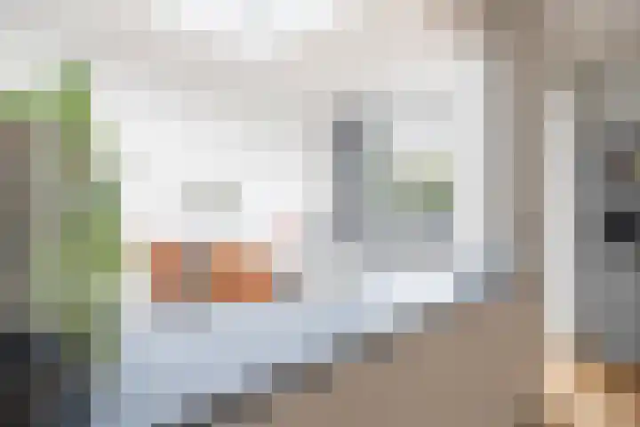 Lieve Vrouwestraat 28 Geleen thumbnail 11