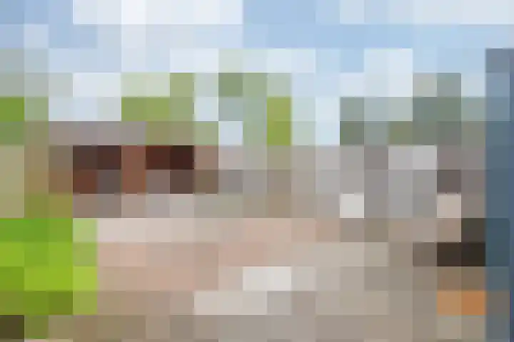 Lieve Vrouwestraat 28 Geleen thumbnail 17
