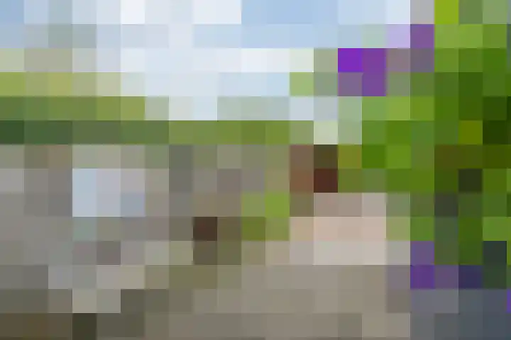 Lieve Vrouwestraat 28 Geleen thumbnail 19