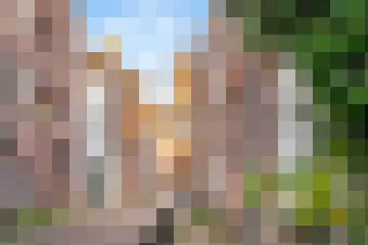Lieve Vrouwestraat 31 Amersfoort thumbnail 32