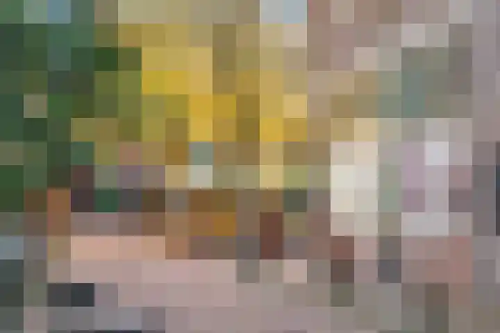 Lieve Vrouwestraat 31 Amersfoort thumbnail 33