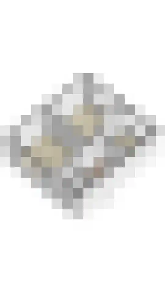 Lieve Vrouwestraat 41 Geleen thumbnail 35