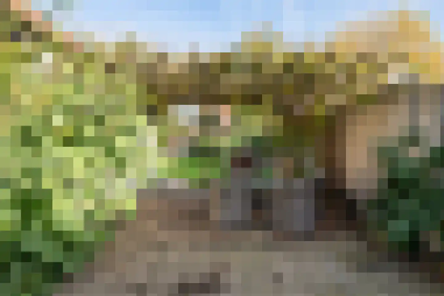 Lieve Vrouwestraat 41 Geleen thumbnail 5