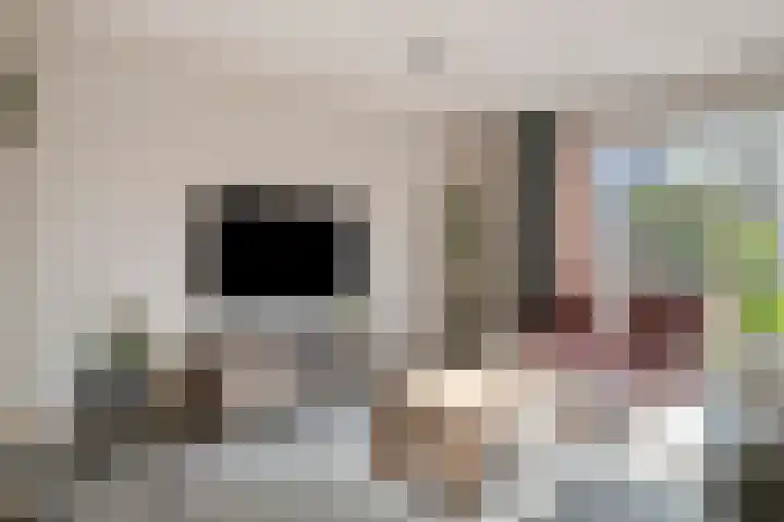 Lieve Vrouweveld 27 Vorstenbosch thumbnail 11