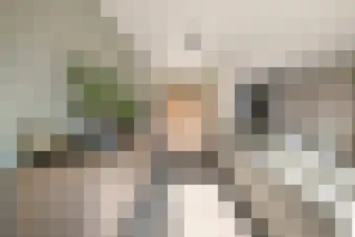 Lieve Vrouweveld 27 Vorstenbosch thumbnail 13