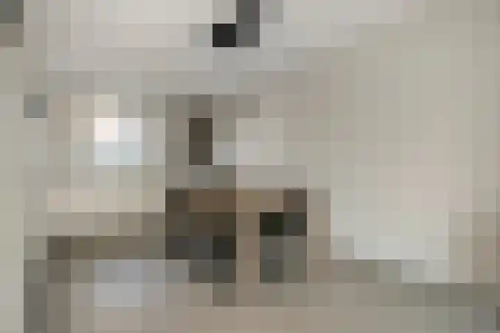 Lieve Vrouweveld 27 Vorstenbosch thumbnail 14