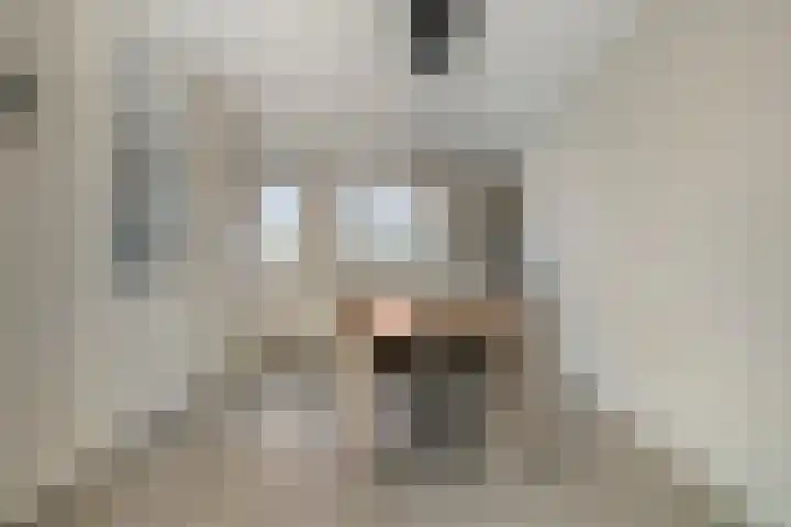 Lieve Vrouweveld 27 Vorstenbosch thumbnail 15