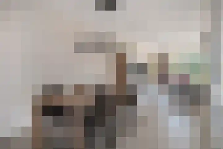 Lieve Vrouweveld 27 Vorstenbosch thumbnail 17
