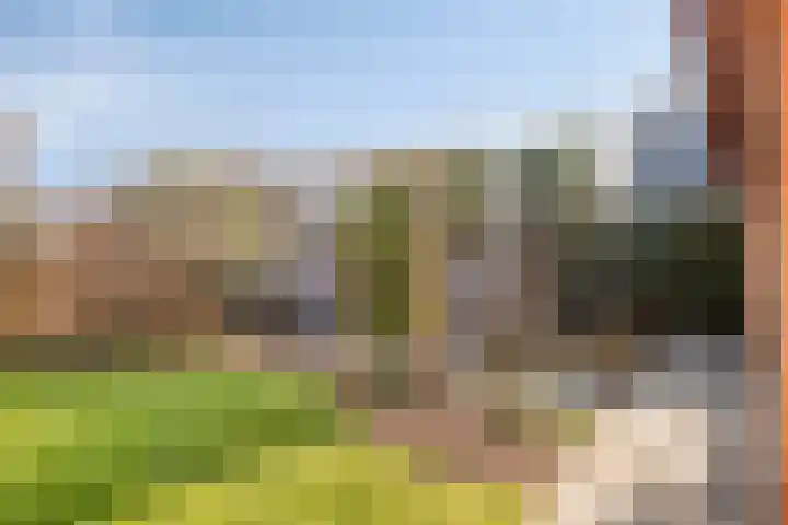 Lieve Vrouweveld 27 Vorstenbosch thumbnail 37