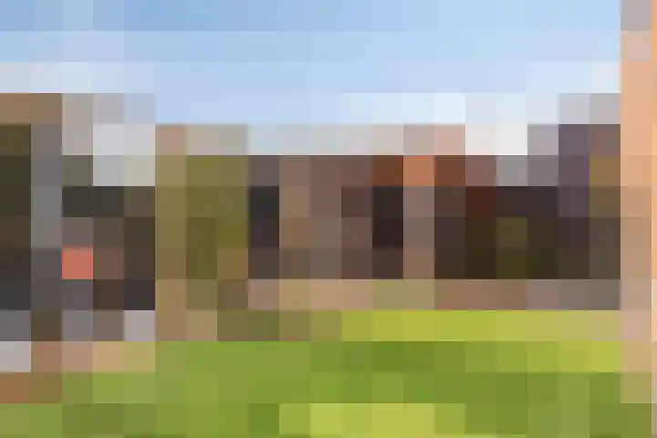 Lieve Vrouweveld 27 Vorstenbosch thumbnail 38