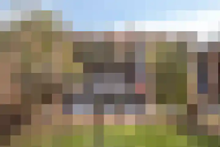 Lieve Vrouweveld 27 Vorstenbosch thumbnail 39