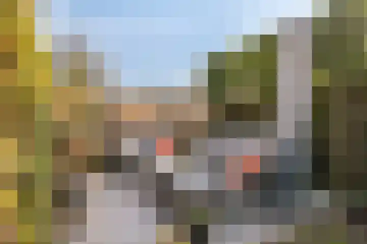 Lieve Vrouweveld 27 Vorstenbosch thumbnail 40