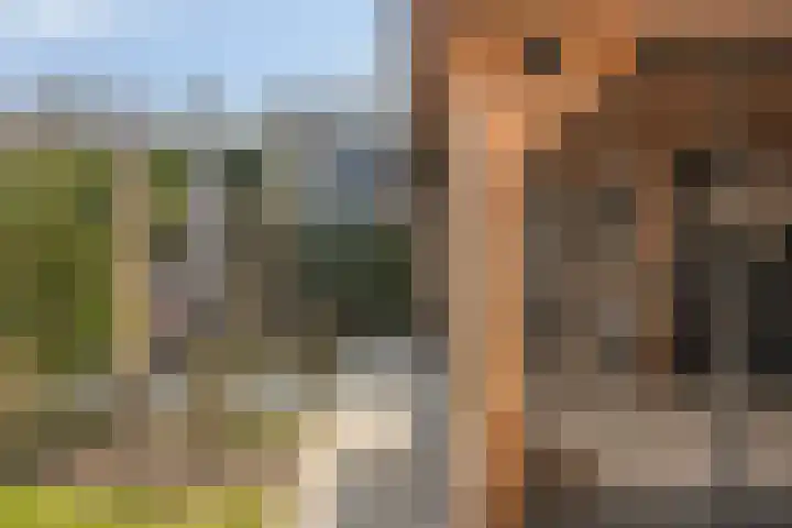 Lieve Vrouweveld 27 Vorstenbosch thumbnail 41