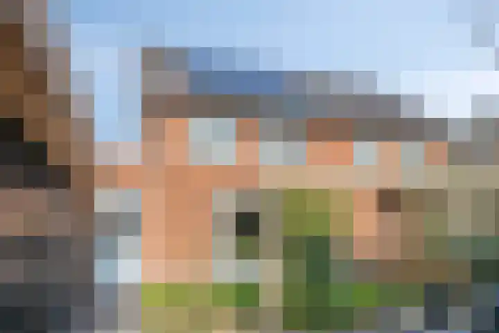 Lieve Vrouweveld 27 Vorstenbosch thumbnail 42