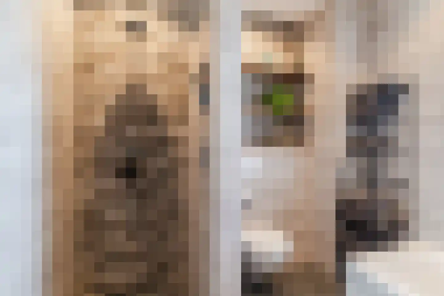 Lieve Vrouweveld 3 Vorstenbosch thumbnail 33