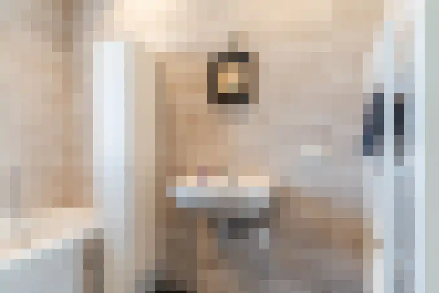 Lieve Vrouweveld 3 Vorstenbosch thumbnail 34