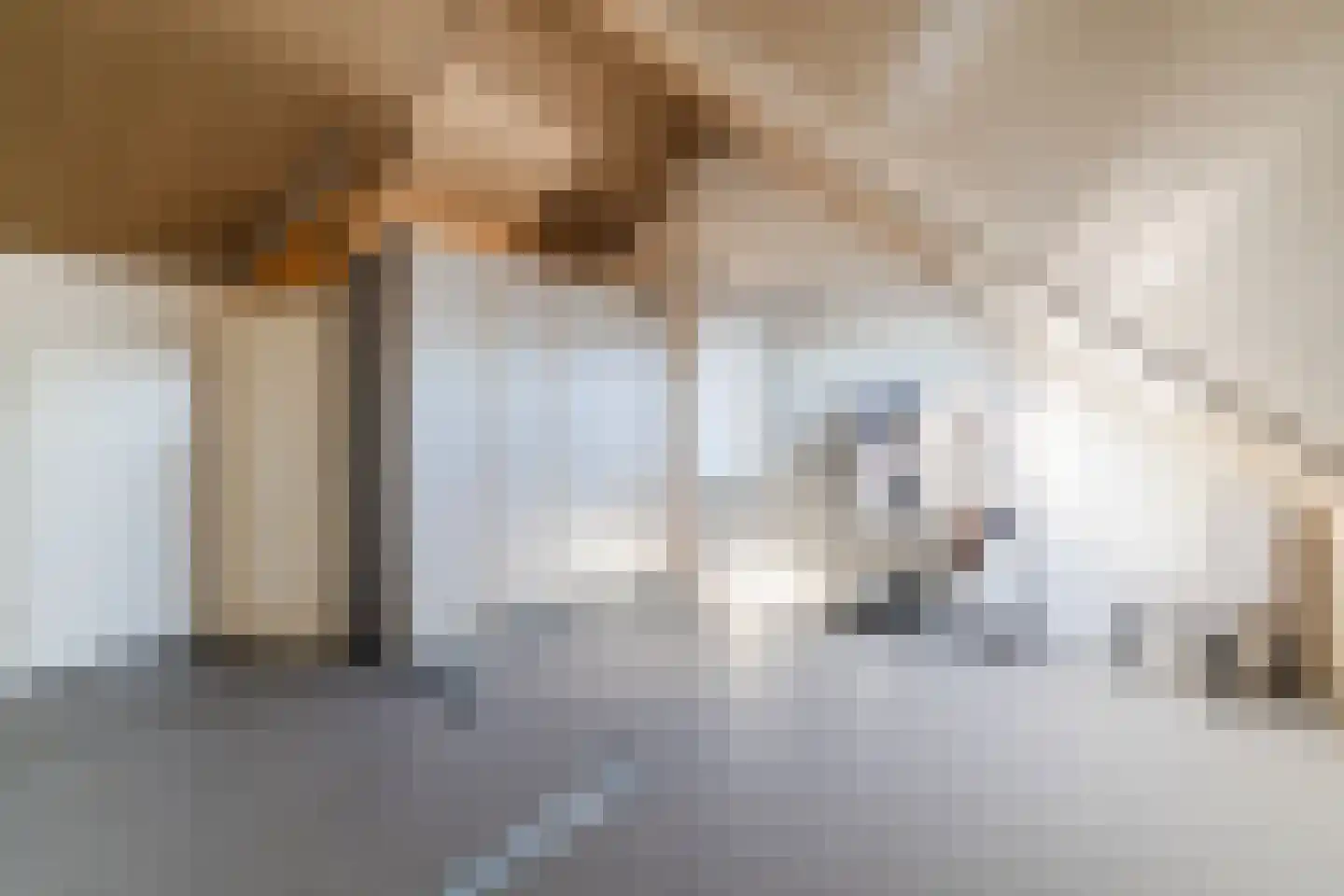 Lieve Vrouweveld 3 Vorstenbosch thumbnail 37
