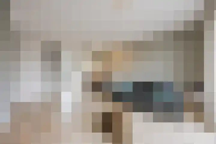 Lieve Vrouweveld 34 Vorstenbosch thumbnail 11