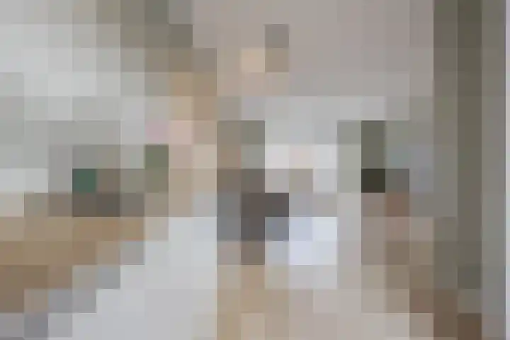 Lieve Vrouweveld 34 Vorstenbosch thumbnail 16