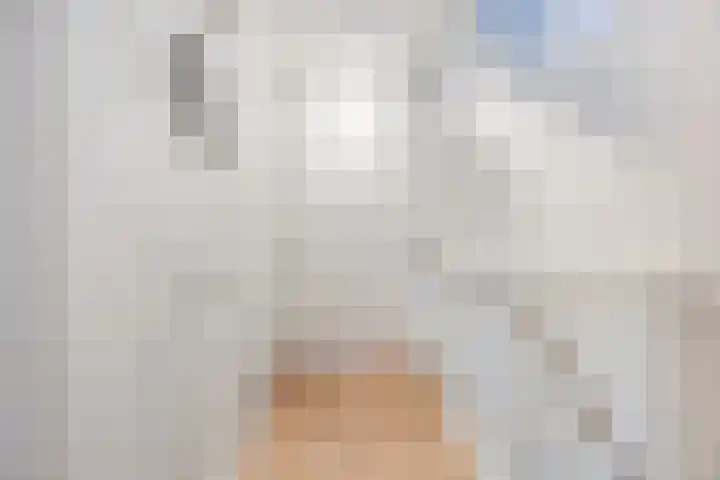 Lieve Vrouweveld 34 Vorstenbosch thumbnail 19