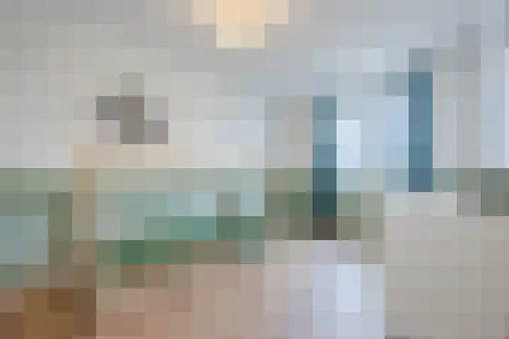 Lieve Vrouweveld 34 Vorstenbosch thumbnail 22