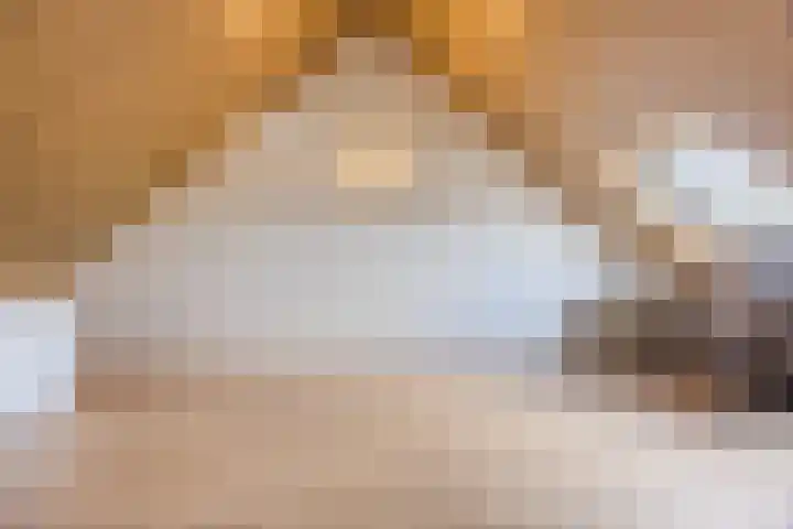 Lieve Vrouweveld 34 Vorstenbosch thumbnail 30